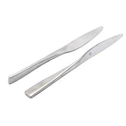 Stainless Steel Dinner Knife/Butter Knife Set of 2